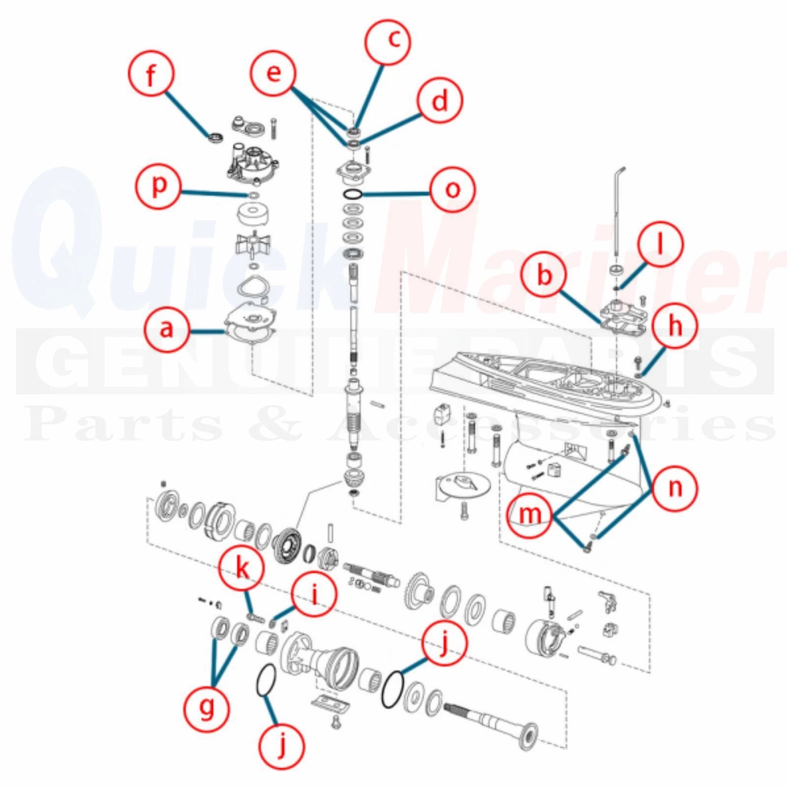 Lower Unit Gearcase Seal Kit for Johnson Evinrude E-Tec (5006373, 439141, 396354)