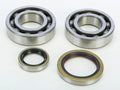 Crankshaft Bearing & Seal Kit for Beta 300 & 250 (2013–2017)