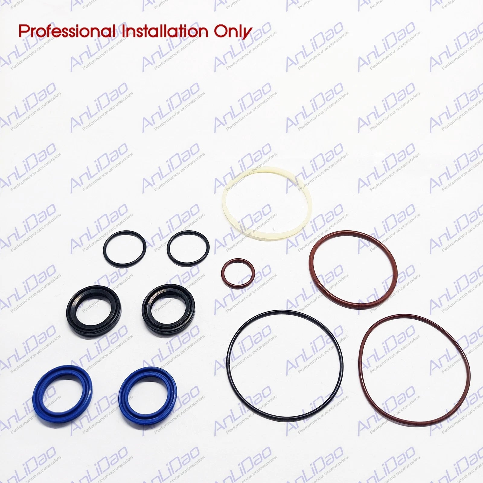 Trim Piston Repair Seal Kit for Evinrude ETEC 75HP-115HP (2006–2020) 5008985