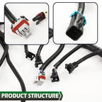 Standalone Wiring Harness for DBC LS1 T56 (1997–2006)