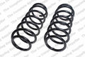 Front Coil Spring for Lesjofors (4114270)