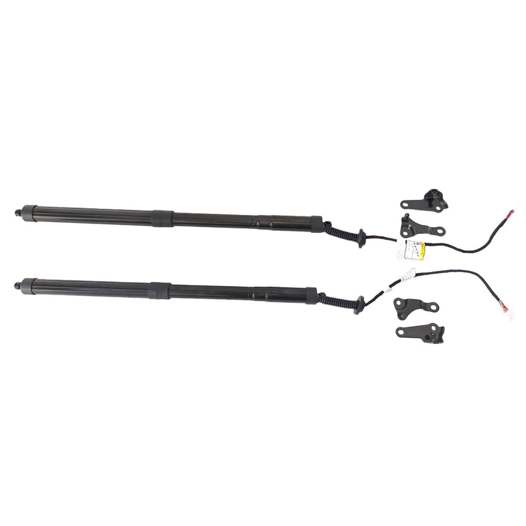 2X Rear Tailgate Lift Supports for Lexus NX300h (2015-2021)