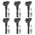 Set of 6 Ignition Coils & NGK Ruthenium HX Spark Plugs for MDX NSX 320i
