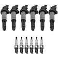 Set of 6 Ignition Coils & Spark Plugs for NSX E60 E46 E53 (All Years)