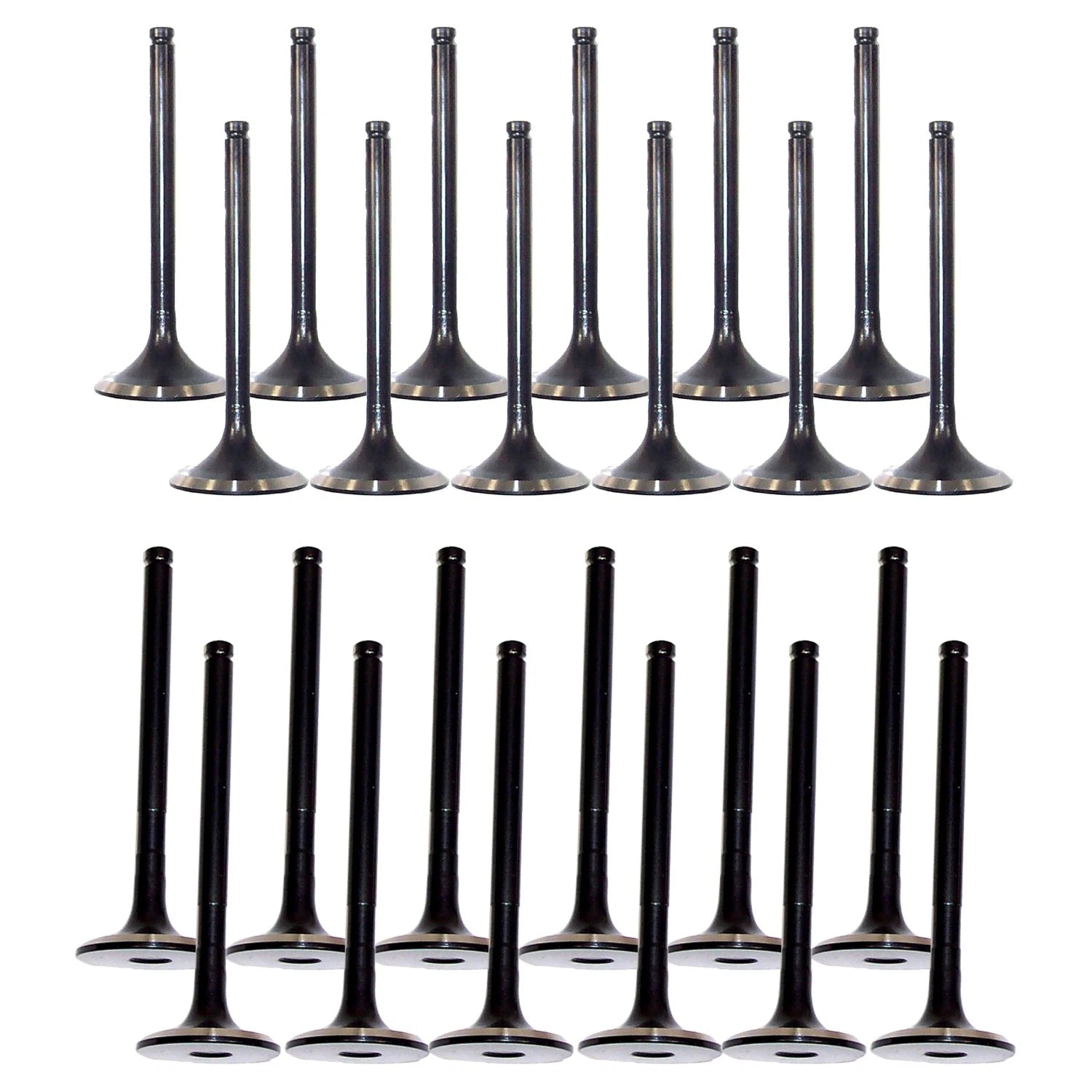Set of 24 Intake & Exhaust Valves Kit for Land Cruiser LX450 (1996–1997)