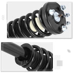 Complete Front Struts Assembly w/Coil Spring for Acura TL TSX/Honda Accord (2003–2008)