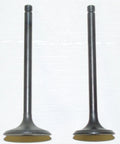 Engine Valve Kit for WSM 230 LT-F (1985–1993) 017-204