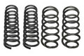 Coil Spring Kit for Ford Fairmont Mercury Zephyr (1978–1983)