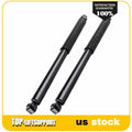 Rear Pair Struts for Dodge Ram 2500 2WD (2008–2010)