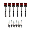 Set of 6 Ignition Coils & Spark Plugs for Audi S5 3.0 V6 (2008–2012)