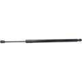 Lift Support for Ford Expedition (2003–2017) Liftgate Driver/Passenger Side