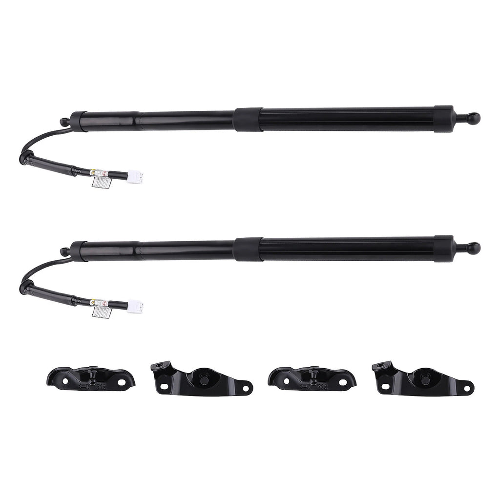 2X Rear Trunk Lift Support Strut for Toyota Highlander (2014–2019)
