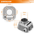 Top End Kit Cylinder Piston Gasket for Yamaha Timberwolf 250 (1992–1998) 4BD-11310-01-00