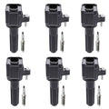 Set of 6 Ignition Coils & NGK Platinum Spark Plugs for Envoy Trailblazer (2002–2009)