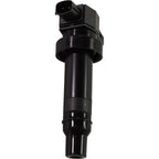 Ignition Coils for Kia Soul (2010–2011)