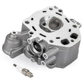Cylinder Head w/Spark Plug for Honda Foreman TRX500 Rancher TRX420 (2005–2012)