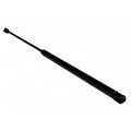 Hood Lift Supports Set of 2 for Sedan (Driver & Passenger Side)