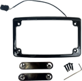 Illuminated Radius License Plate for Custom Dynamics (2030–2030)