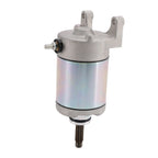 Starting Motor for SWM Gran Milano 440 (2016) 31160417