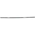 Door Molding for Audi A4 Sedan/Wagon (1996–1999) Front Right Upper