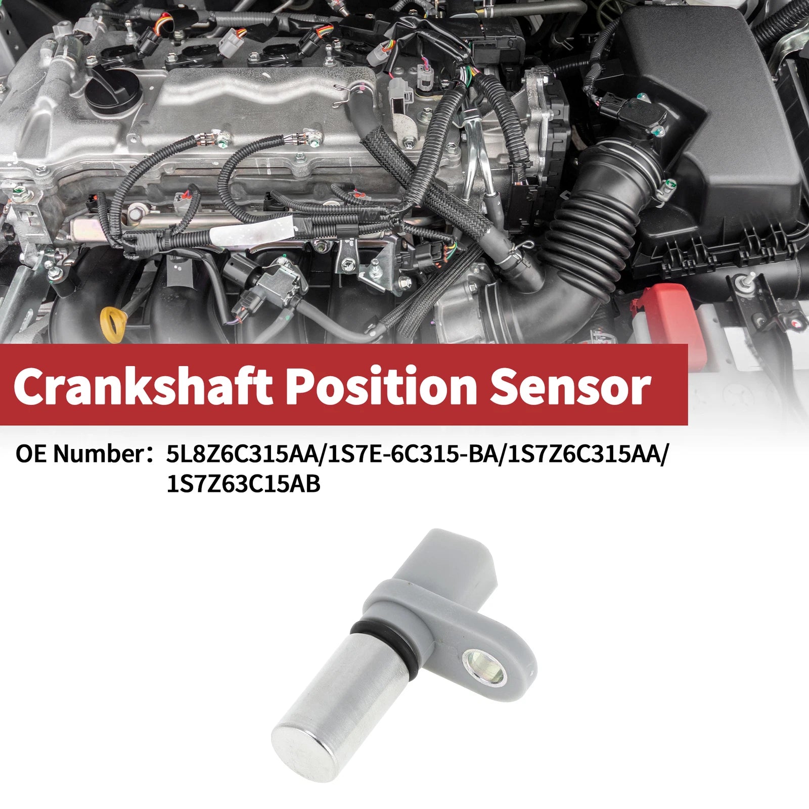 Crankshaft Position Sensor for Ford Escape 3.0 (2006–2012) No. 5L8Z6C315AA