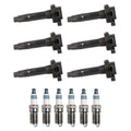 Set of 6 Denso Ignition Coils & Iridium Spark Plugs for F-150, Flex, MKT, MKX, Taurus (V6)