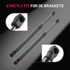 Set of 2 Rear Window Lift Support Struts for BMW X5 E53 (2000–2006)