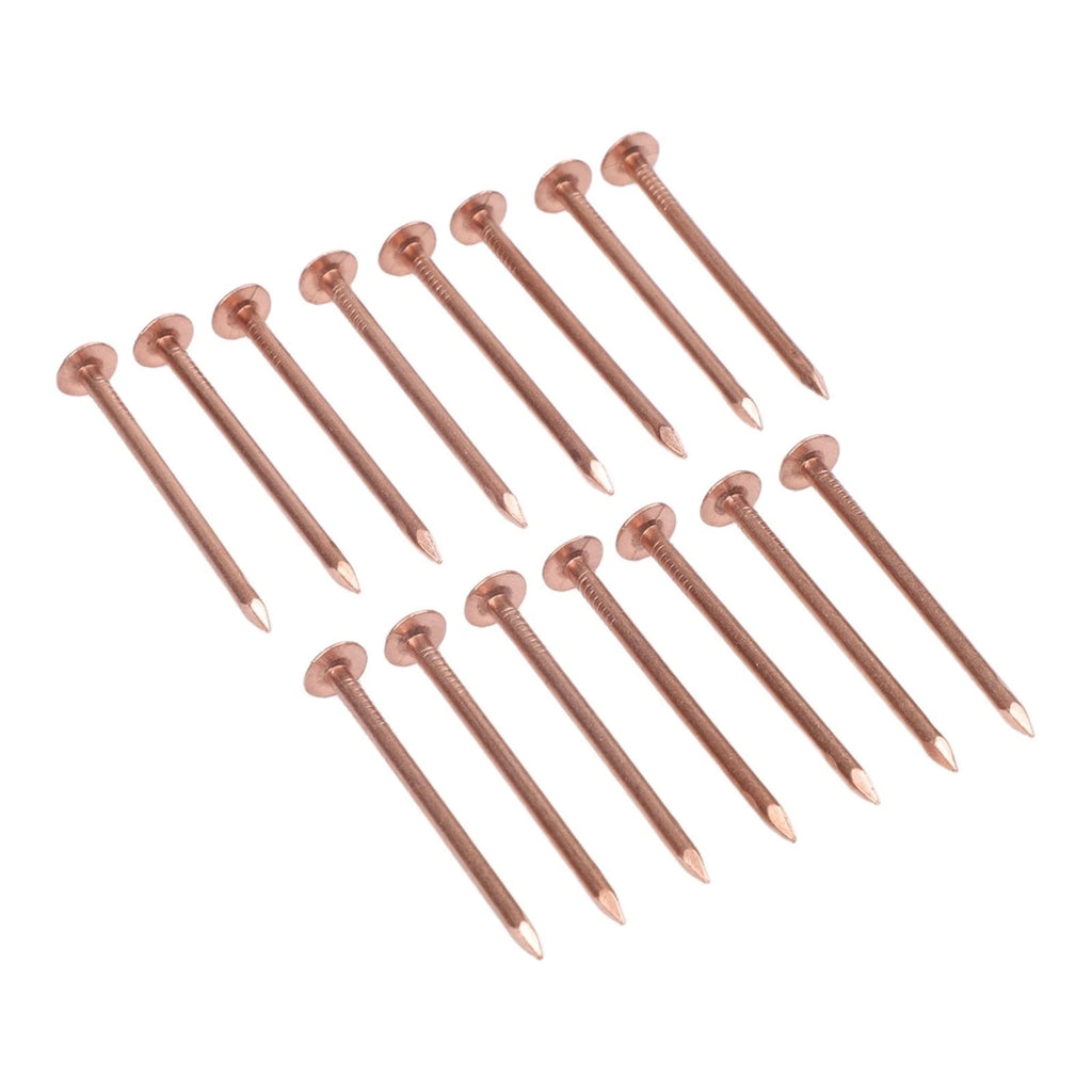 Copper Nails 2 Inch for Tree Stump Removal Garden Hardware