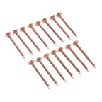 Copper Nails 2 Inch for Tree Stump Removal Garden Hardware