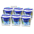 Shaldan Squash Scent Air Freshener for X6