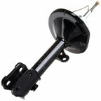 Front Pair Shocks Struts for Acura MDX, Honda Pilot (2001–2008)