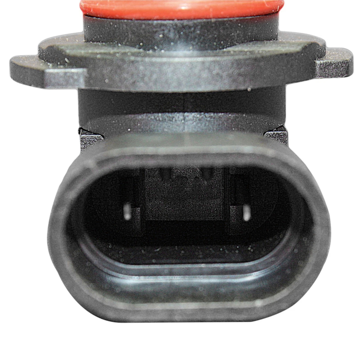 Fog Light Bulb for Chevy F-150 (2004-2008)