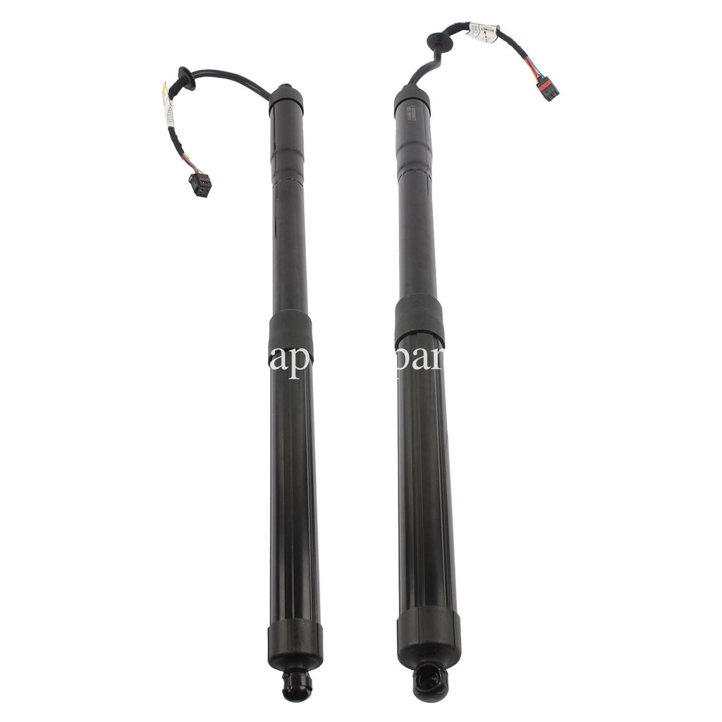 Set of 2 Tailgate Lift Supports for Hyundai Santa Fe (2013–2019)