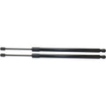 Lift Support for Ford Expedition (1997–2002) Liftgate Driver & Passenger Side