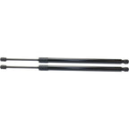 Lift Support for Ford Expedition (1997–2002) Liftgate Driver & Passenger Side
