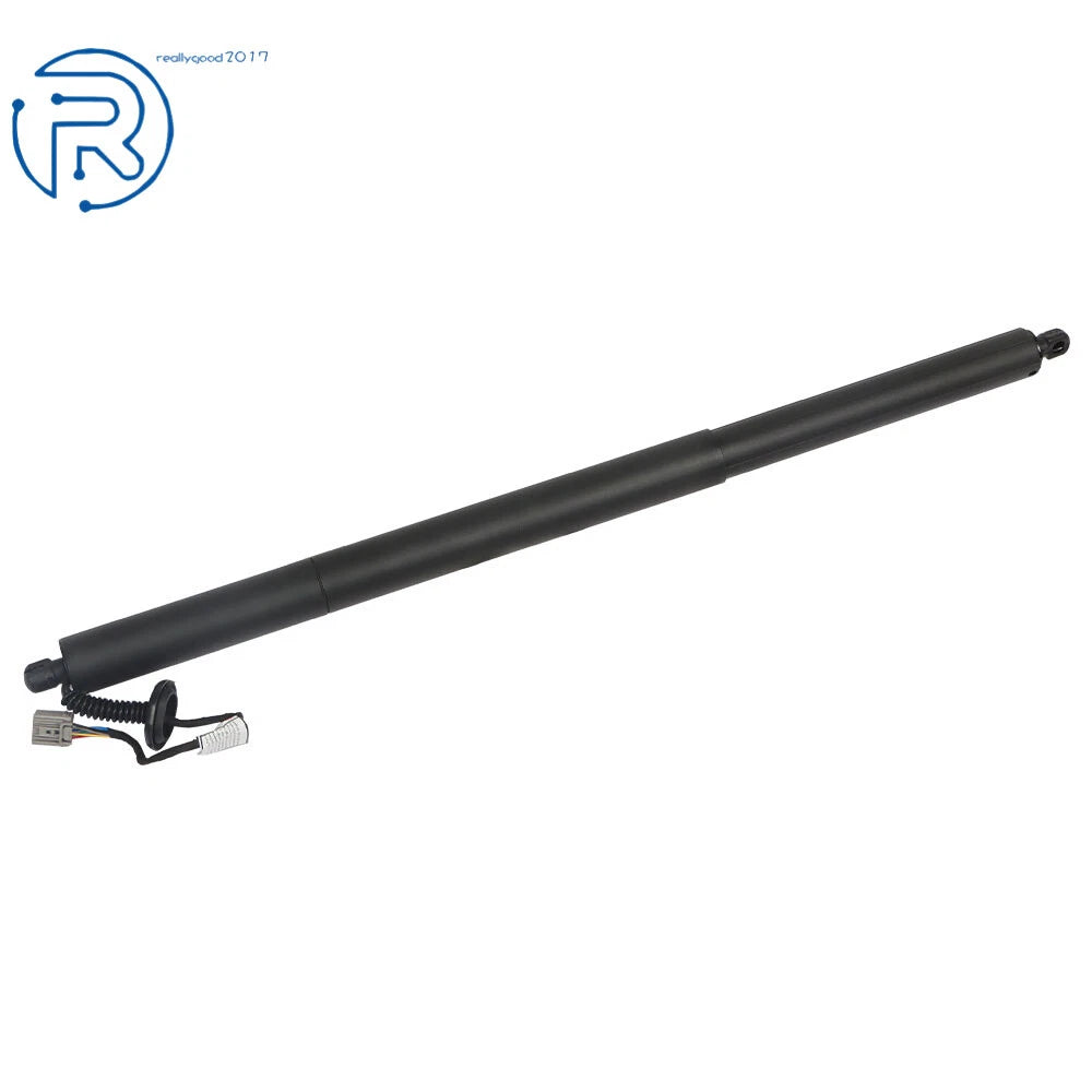 Rear Tailgate Left Power Lift Support for Ford Escape (2013-2019)