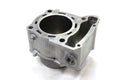 OEM Engine Cylinder for Kawasaki KLX300 (2024) 11005-0723