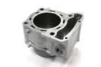 OEM Engine Cylinder for Kawasaki KLX300 (2024) 11005-0723