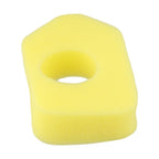 Air Filter and Diaphragm Kit for