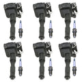 Set of 6 Ignition Coils & Spark Plugs for Acura NSX (1991–2005) & BMW E36 E39 E53 (1992–2006)