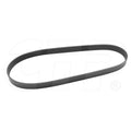 Belt 8Pk for Caterpillar Models (1417116)