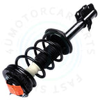 2X Rear Complete Strut Shock with Coil Spring for Subaru Forester (1998–2002)