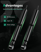 Rear Pair Absorber Shocks Struts for Honda Passport (1998–2002)