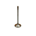 Exhaust Valve for ENL80-0247