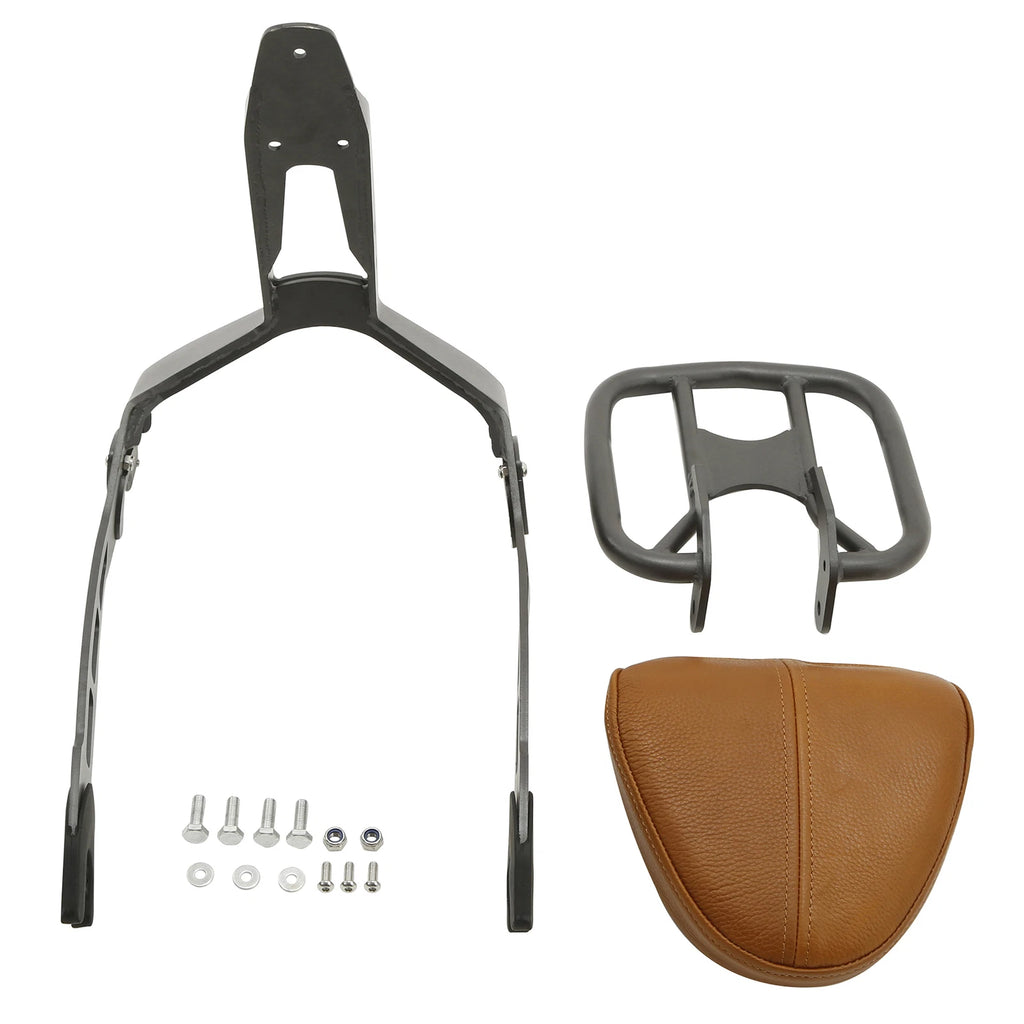 Titanium Passenger Backrest Sissy Bar Seat with Rack for Indian Scout (2019–2020)