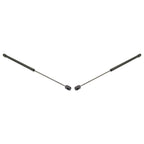 Set of 2 Trunk Lid Lift Supports for Coupe
