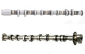 ACM Exhaust & Intake Camshafts for Audi A3 A4 Quattro Volkswagen GTI Jetta (2000–2023)