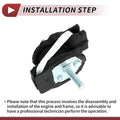 Motor Mount 1.6T for BMW 3 Series F35 (2012 - 2015)