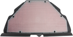 HIFLOFILTRO Air Filter for Honda (HFA1619)