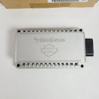 Rockford Fosgate Amplifier 200W for Harley-Davidson (OEM 76001131)